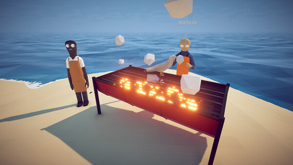 How to Fish grill with a seagull on the coals